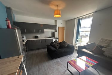 3 bed flat, Hill Park Crescent, Flat 1, Greenbank, Plymouth, PL48JP - Image 6